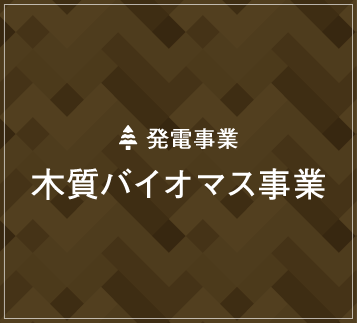 木質バイオマス事業