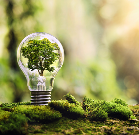 EB事業は電子ブレーカーが低圧電力（動力）の最大電力消費を
                            監視・制御し、電力基本料金の大幅な削減を可能にします。